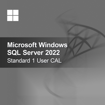 Microsoft SQL Server 2022 Standard 1 utilizator CAL