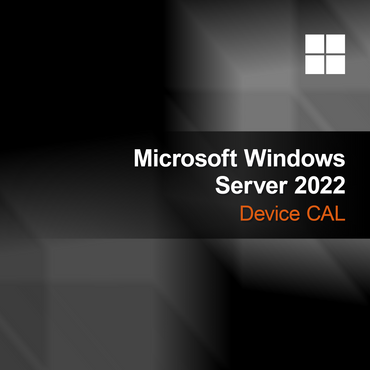 Microsoft Windows Server 2022 устройство CAL