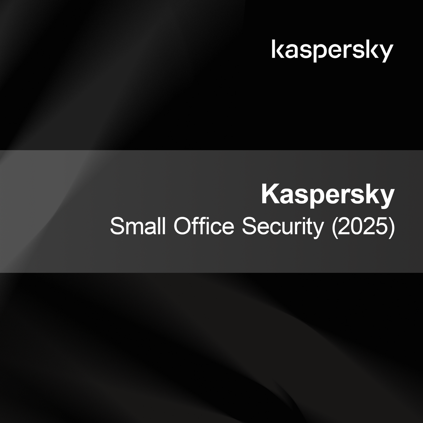 Kaspersky Securitate Mică Birou (2025)