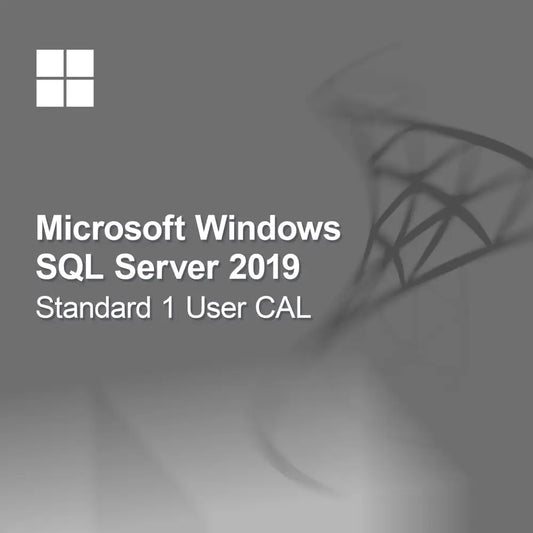 Microsoft SQL Server 2019 Standard 1 uporabniška licenca CAL