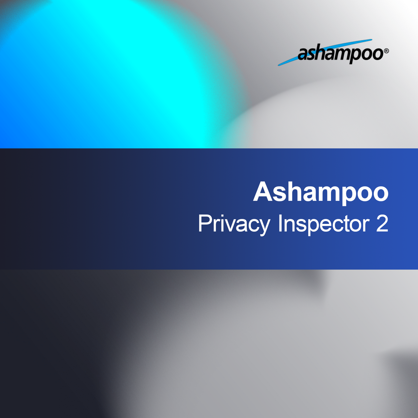 Ashampoo Personverninspektør 2