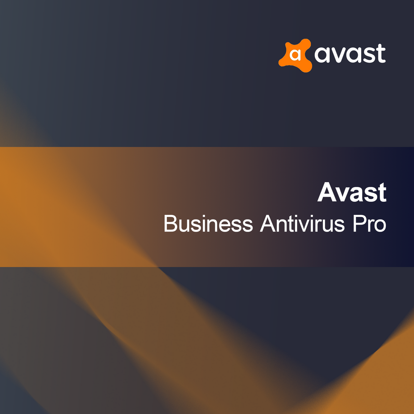 Avast osnovna poslovna varnost