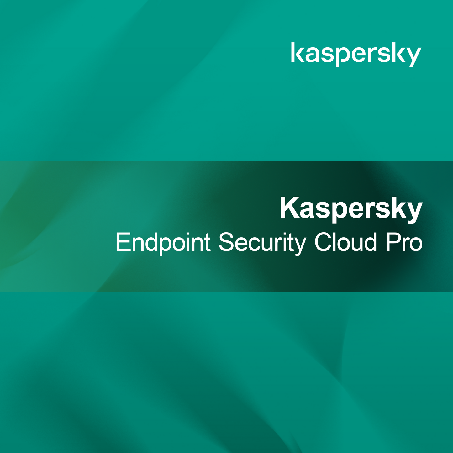 Kaspersky Endepunktsikkerhed Cloud Pro