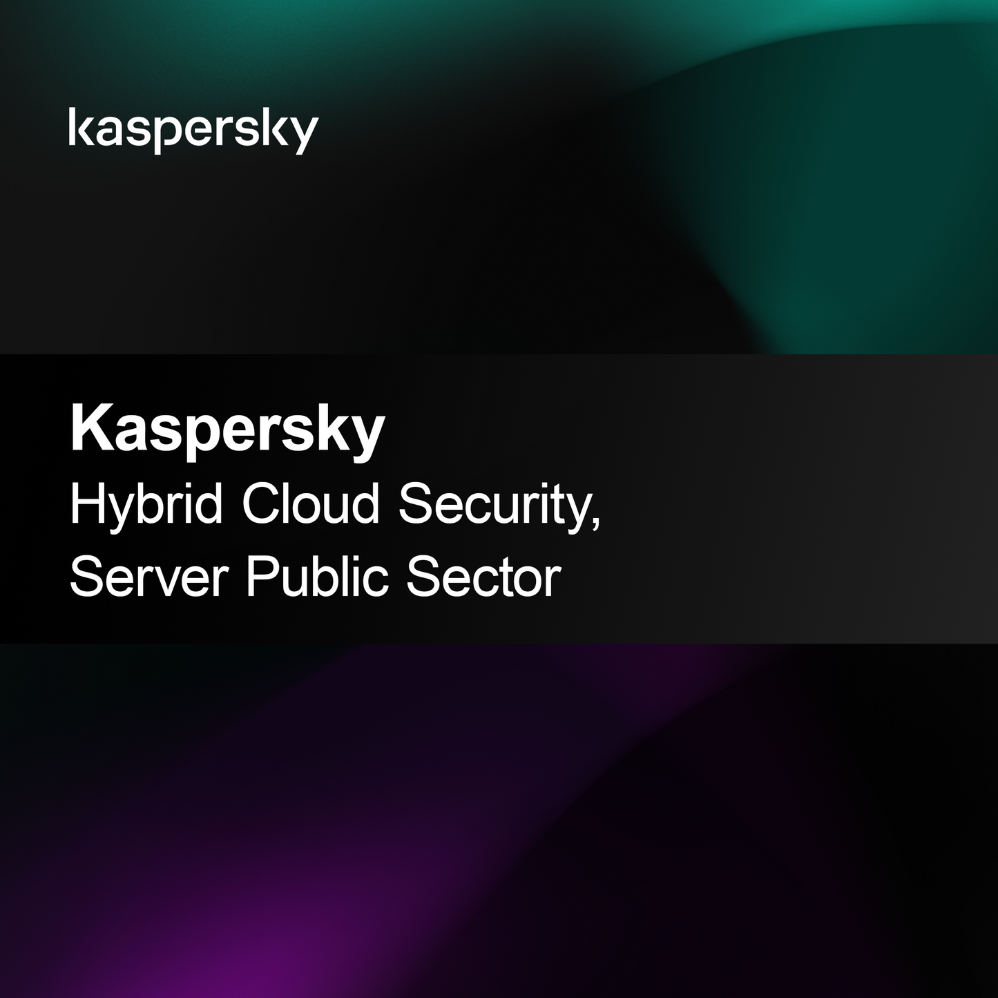 Kaspersky Hybrid Cloud Security, Server Settore Pubblico